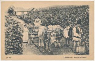 La vie / Rumänische Bauern-Weinlese / Romanian folklore, grape harvest with ox cart