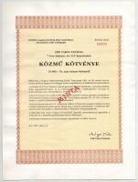 1987. Debrecen "A Magyar Gördülőcsapágy Művek Debrecen - Csapágy Kötvénye" 500.000Ft-ról, ...