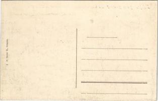 Tekija (Kladovo), Durch Bombardement beschädigtes typisches serbisches Wohnhaus / WWI Austro-Hungari...