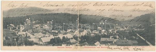 1903 Borszék, Borsec; 2-részes kihajtható panorámalap. Soós kiadása / 2-tiled folding panoramacard (fa)