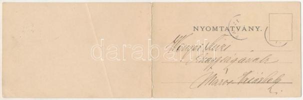 1903 Borszék, Borsec; 2-részes kihajtható panorámalap. Soós kiadása / 2-tiled folding panoramacard (...