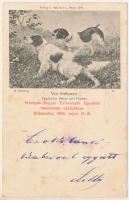 1900 Országos Magyar Ebtenyésztő Egyesület Nemzetközi Ebkiállítása Budapesten, 1900. május 19-21. / Vor Höhnern. Englischer Setter und Pointer s: H. Sperling (fl)