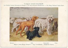 Magyar Nemzeti Kutyafajták. A Magyar Ebtenyésztők Országos Egyesületének kiadása. Kuvasz, Magyar Vizsla, Puli, Komondor, Pumi / Hungarian dog breeds s: Vezényi E.