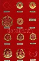 1949-1985. "Április 4-i díszszemle" 17xklf jelvény a katonai díszszemlékről + 3db "Ok...