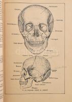 Donáth Tibor: Funkcionális anatómia. Egészségügyi szakiskolák szakjegyzete. Bp., 1959, Medicina. Kia...