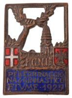 Olaszország 1925. "F.G.N.I. - PELLEGRINAGGIO NAZ GINNASTICO FIUME 1925 (Nemzeti Tornász Zarándoklat - Fiume 1925)" zománcozott bronz jelvény, "STAB G. PICCHANIC - FIRENZE" gyártói jelzéssel (35x25mm) T:XF Italy 1925. 1925. "F.G.N.I. - PELLEGRINAGGIO NAZ GINNASTICO FIUME 1925" enamelled bronze badge with "STAB G. PICCHANIC - FIRENZE" maker's mark (35x25mm) C:XF