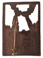 Olaszország 1925. "F.G.N.I. - PELLEGRINAGGIO NAZ GINNASTICO FIUME 1925 (Nemzeti Tornász Zarándo...