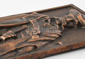 Csikós. Bronzírozott alumínium plakett, kopással, 26,5x7,5 cm