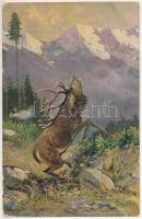 4 db RÉGI vadász motívum képeslap: szarvasbőgés idején / 4 pre-1945 hunting motive postcards