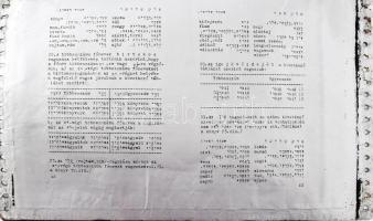 cca 1940 Héber és magyar nyelvű iskolai könyv nyomdai nyomólemezei. Fém lapok kb 100 db, nem teljes ...