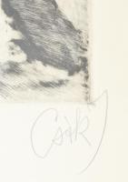 Csók István (1865-1961) - Prihoda István (1891-1956): Züzü olvas. Színezett rézkarc, papír, jelzett ...