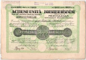 Románia / Arad 1923. "Mezőgazdák Kereskedelmi Részvénytársaság" részvénye 3000L-ről, szelvényekkel, szárazpecséttel és felülbélyegzésekkel T:XF kis beszakadások Romania / Arad 1923. "Commercial Agriculture Company" share about 3000 Lei with coupons, embossed stamp and overprints C:XF small tears