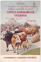 1910 Makó, Meghívó Tenyész-szarvasmarha Vásárra. Csanád megyei Gazdasági Egyesület + "POSTAI ÜGYN." (EK)