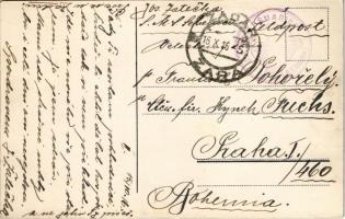 1916 Pred úpalem, vetru váním vlhkost pudy vzdycky chráním, na strnisko draslo dám, hned po sklizni ...