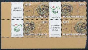 2005 Üzenet bélyegem (I.) - Magyarország térképe tájolóval ívsarki fordított állású 4-es tömb