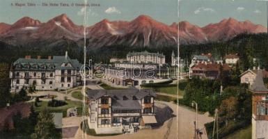 Tátra Ótátrafüred with Café and the shop of Tódor Kertész panoramacard (EB)