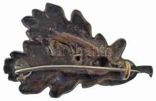 ~1930. Határvadász jellegű ezüstözött fém kitűző zománcozott rátéttel (~25x37mm) T:AU zománchiba