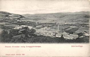 Máriavölgy with the glass factory of Tivadar Pausz (EK)