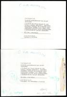 1990 Kleb Attila fotóriporter felvételei a Pa-Dö-Dő együttes tagjairól - Falusy Mariann és Lang Györ...