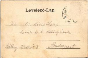 Érsekújvár, Nové Zámky; Kossuth Lajos tér, Szálloda az Arany Oroszlánhoz, piac, üzletek. Conlegner J...