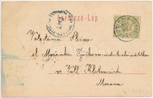 1903 Lednicróna, Lednicz-Rovne, Lednicz-Rownye, Lednické Rovne; Kis kastély. Verlag Consum-Verein / ...