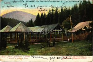 1907 Felsőzúgó-fürdő, Ruzsbachfürdő, Bad Ober Rauschenbach, Kúpele Vysné Ruzbachy; András- és Karolina-forrás. Feitzinger Ede 1905. Aut. N. 929. / spa, spring sources (kis szakadás / small tear)