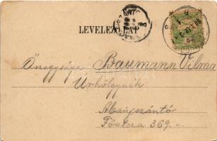 1903 Eperjes, Presov; Állami tanítónő és óvónőképző intézet. Fénynyomat Divald műintézetéből / teach...