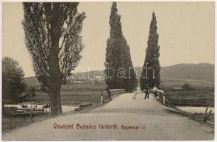 1910 Bajmócfürdő, Bojnické kúpele (Bajmóc, Bojnice); Bajmóczi út, híd. Gubits B. (Privigye) kiadása 567. / road, bridge (EK)