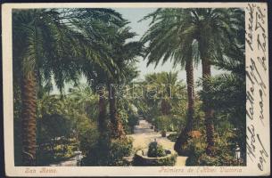 San Remo Hotel Victoria palm tree garden