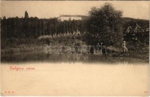 Galgóc, Frasták, Hlohovec; Gróf Erdődy várkastély / castle (EK)