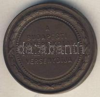 DN "A Budapesti Középiskolai Athletikai Club versenydíja" Br irredenta díjérem T:2