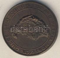 DN "A Budapesti Középiskolai Athletikai Club versenydíja" Br irredenta díjérem T:2