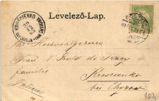 1903 Pöstyén, Piestany; Dr. Alexander villa / villa (kis szakadás / small tear)