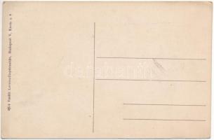 Pöstyén, Piestany; látkép. Vasúti levelezőlapárusítás 4814. / general view (EK)