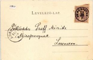 1900 Verespatak, Goldbach, Rosia Montana; látkép. Dunky Fivérek cs. és kir. udvari fényképészek kiad...