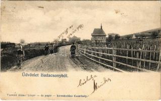 1906 Badacsony, út a szőlők mellett. Vasvári József kiadása (fl)