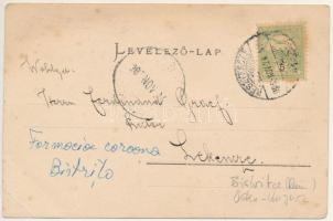 1905 Beszterce, Bistritz, Bistrita; Kronen-Apotheke / Korona gyógyszertár / pharmacy (EB)