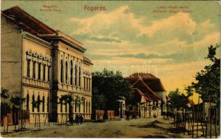 Fogaras, Fagaras; Megyeháza, Leány polgári iskola. Fleissig Jakob kiadása / Komitat Haus, Mädchen-Bürger-Schule / county hall, girl school (fa)