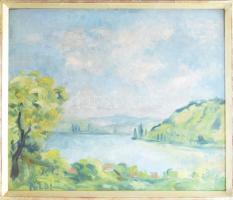 Böhm Lipót, Poldi (1916-1995): Dunakanyar. Olaj, farost, jelezve jobbra lent. fakeretben, 50×60 cm