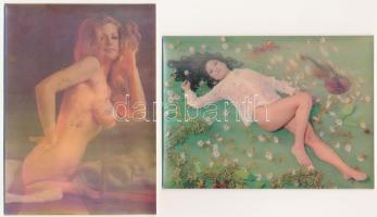 2 db MODERN erotikus dimenziós motívumlap, meztelen hölgyek / 2 MODERN erotic dimensional (3D) motive cards, nude ladies