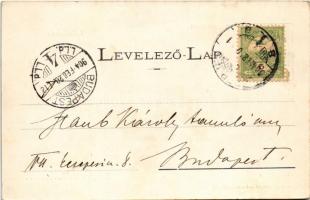 1904 Eperjes, Presov; Fő utca, Takarékpénztár, gyógyszertár, Glück D., Bodnár Gy., Throp Gyula, Hole...