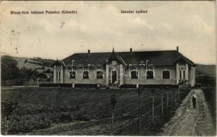 Pelsőc, Pelsőcz, Pelsücz, Plesivec (Gömör); Blum-féle intézet iskolai épülete / school (fl)