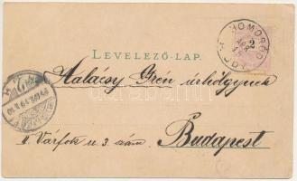 1899 (Vorläufer) Brassó, Kronstadt, Brasov; Szecessziós képeslap térképpel és címerrel. W. Hiemisch ...