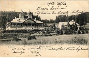 1906 Borszék, Borsec; Emausz villa, Irenen villa / villas (EK)