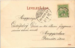 1906 Borszék, Borsec; Emausz villa, Irenen villa / villas (EK)