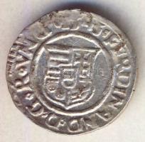 1543. Denár Ag I. Ferdinánd T:2