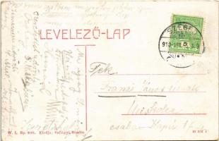 1910 Magyarkanizsa, Ókanizsa, Ó-Kanizsa, Stara Kanjiza; Piactér. W.L. Bp. 2161. Szilágyi Sándor kiad...