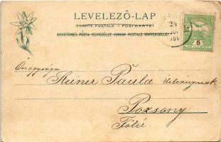 1906 Lőcse, Leutschau, Levoca (Szepes, Zips); Reáliskola és minorita templom. Feitzinger Ede 484. 19...