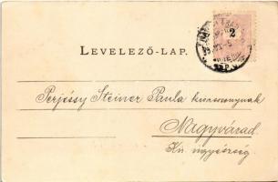 1899 (Vorläufer) Belényes, Beius; Főgimnázium. Sonnenfeld A. kiadása / school (EK)