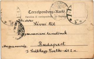 1906 Lovran, Lovrana, Laurana; Hotel Lovrana u. Hotel Riviera / szállodák / hotels (szakadás / tear)